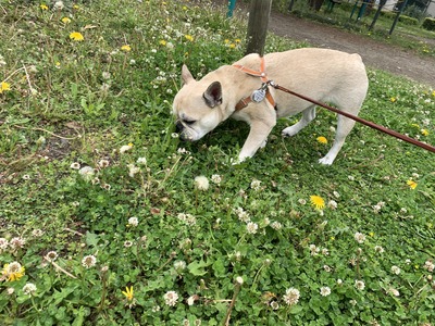 FAF65E8B-0970-4486-AE39-EDD35959AF8C