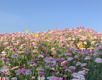 625649B4-EE37-4140-807D-E65832453D71