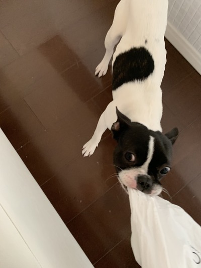 2AADDE4F-5448-46EA-9C10-F872439E01B9