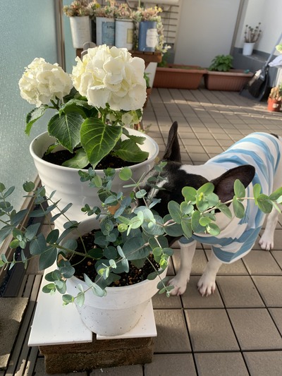 4B897A7A-0A75-4AEA-A66B-CF1BC35C35FB