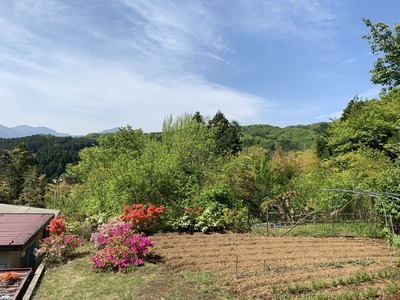 0993BF4B-7C06-4267-ABB4-CD7E2F63F5AC