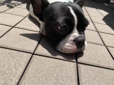 B2659A60-85A1-4BE9-97AC-FB1B5984B0A2