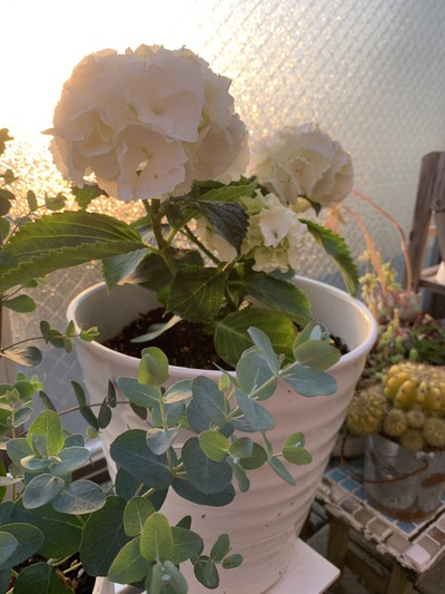 68384D54-4D1B-450E-B7A6-2DE110F447B7