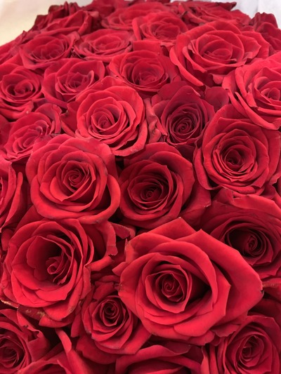 1ABF29EC-4237-4059-A6AF-24E9FFB08891