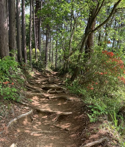 5AB081DE-FFC2-4CBF-85AE-EA38479079F8