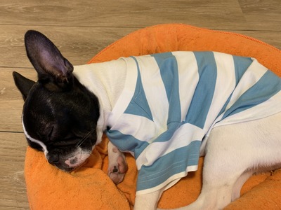 1C5FEC62-1F46-4EC5-9FC5-DA954FFAF8D6