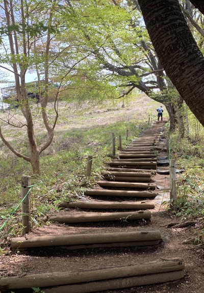 C4304921-C972-4A8D-B29A-0B4F5D3DFDAF