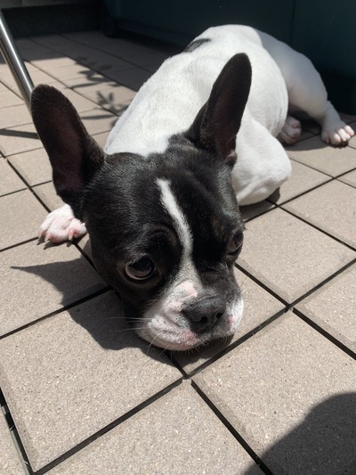 60C2B1F6-D4DC-49AC-BE4B-B7D5401527FC