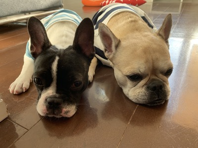 0BA737E6-25E2-4052-B0FB-F69053BC6E43