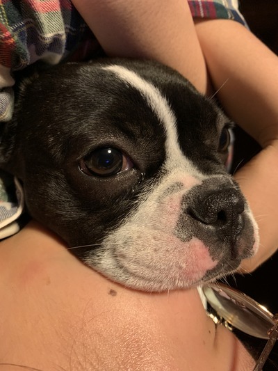 D17582FE-2365-49F1-85AB-D6967E1FDFD2