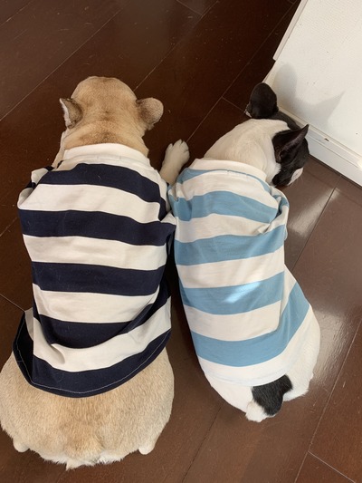 6D6F85E0-C2B1-493B-9756-BA89036AD456