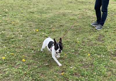 9AF8341F-A470-46AC-A5C0-77F57F7DE021