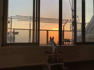 67B88B2E-0CCE-4ECC-AC6E-09CC6EF20807