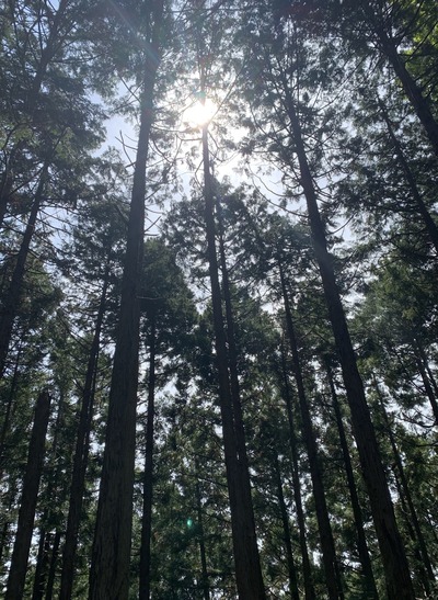 971F6C3F-FD45-48A8-AD5E-B441B6D52F55