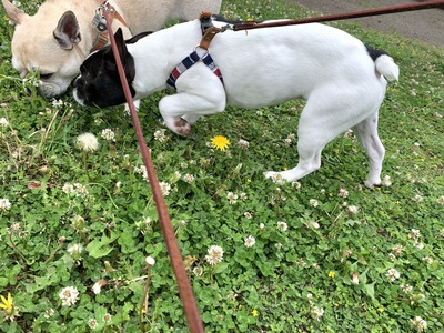 E914B875-6174-465E-BF4E-C92BDB1BADD5