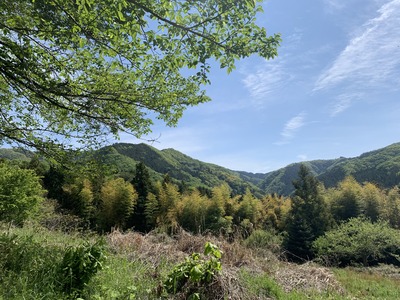 807788F4-D0FC-499A-B64D-C7EB91128222