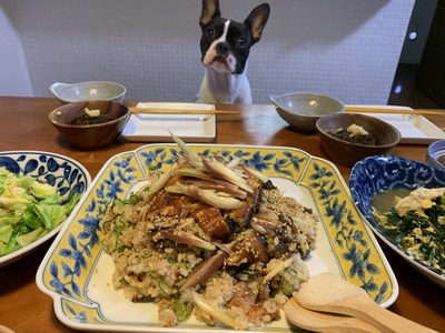 1CD74FDB-16C2-4C17-B853-FCDA42210C81