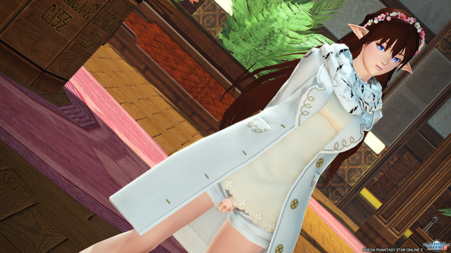 pso20170210_143423_176