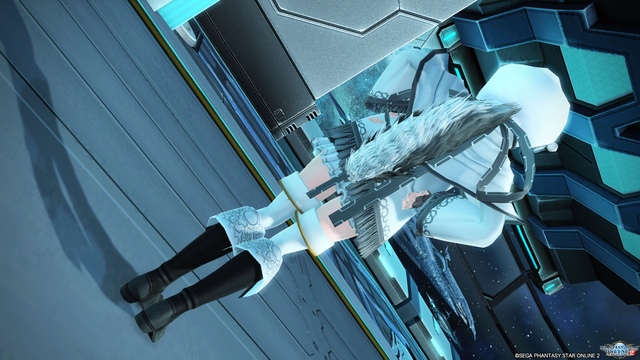pso20210208_140629_010
