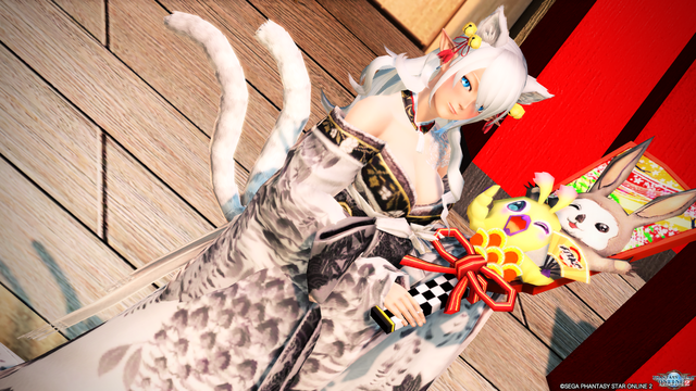 pso20200123_011640_014