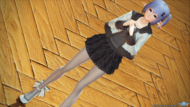 pso20170210_144128_178