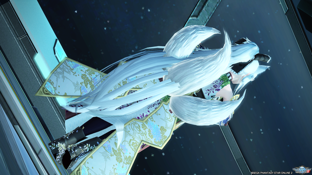 pso20200201_232451_009