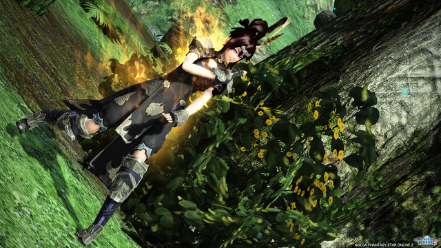 pso20160708_121904_002