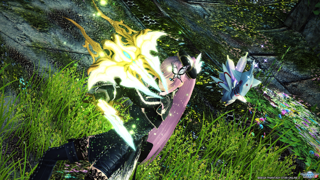 pso20170728_103223_481