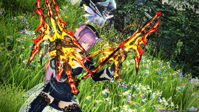 pso20170728_103304_488
