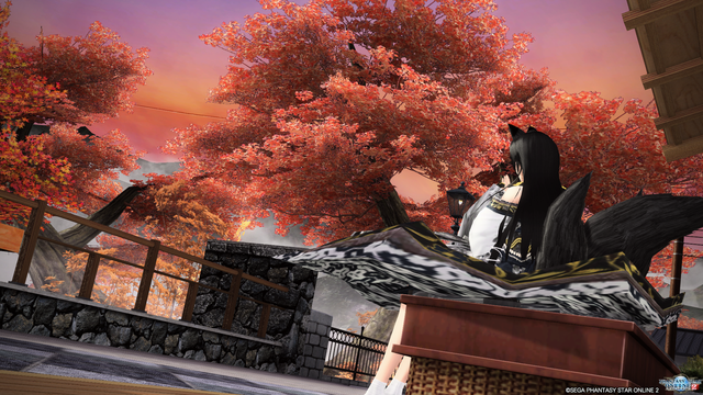 pso20191212_111639_032