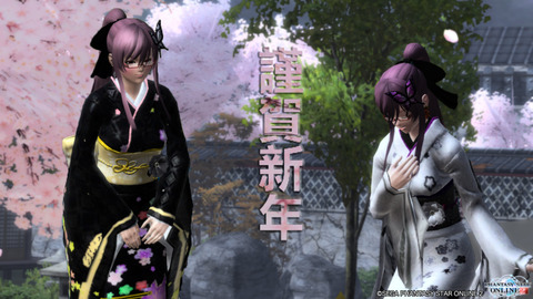 pso20151231_013149_016