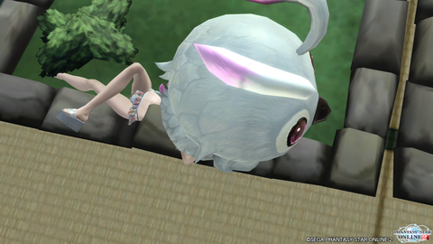 pso20150806_221711_020