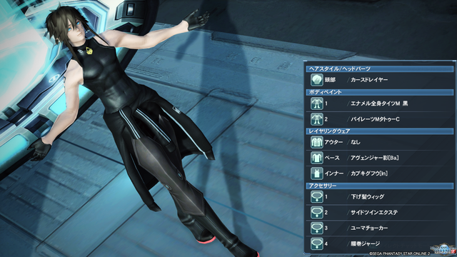 絶えず それら 政治家の Pso2 タイツ Bav Bibliothek Biz