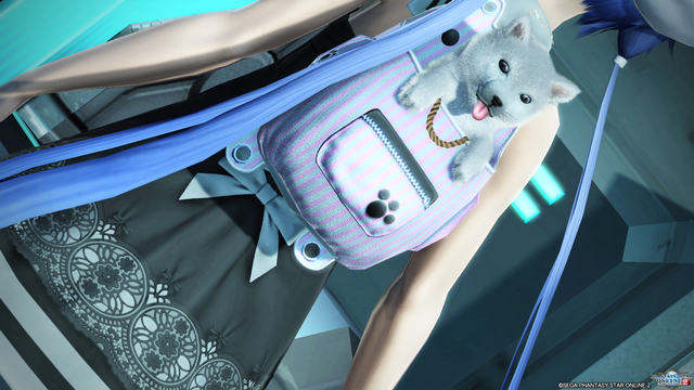 pso20190726_223233_021