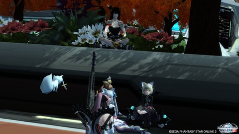 pso20150915_222313_003