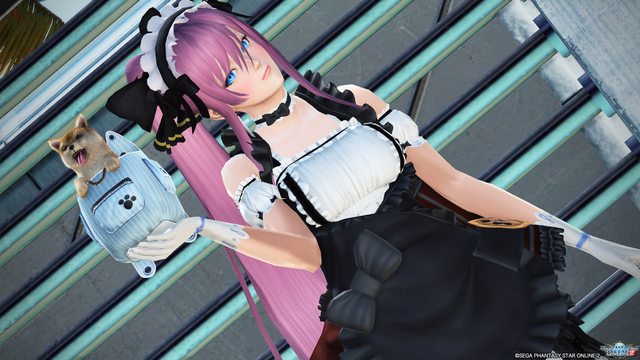 やっと シエラポーズ ゲット W Esuterupso２メモリアル