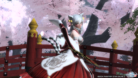 pso20160106_221744_044