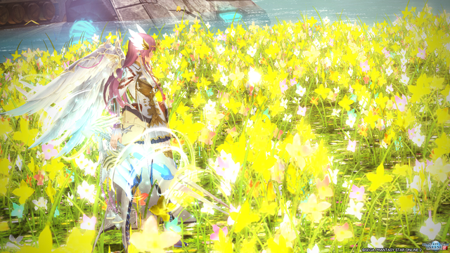 pso20171127_030346_045