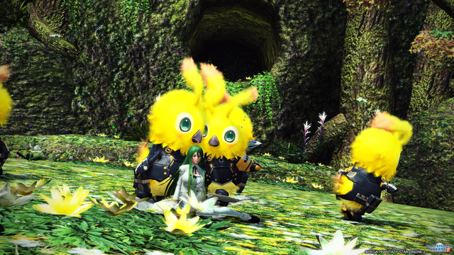 pso20180302_193923_013