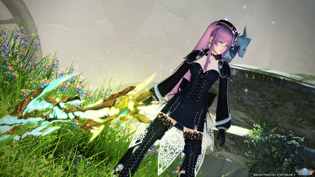 pso20170728_102941_474