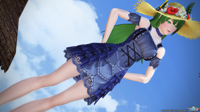 pso20170707_204843_175