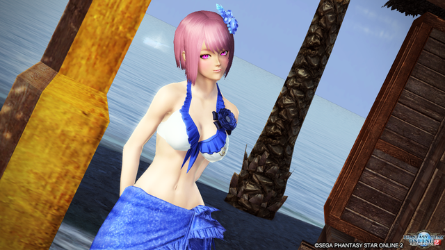 pso20160611_032951_024