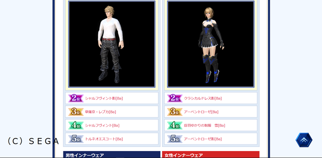 公式調査3