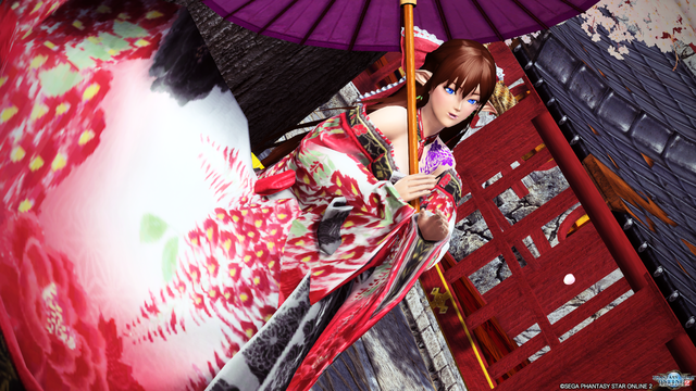 pso20171120_210429_021