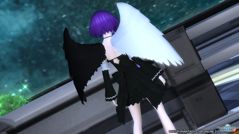 pso20160128_205753_024