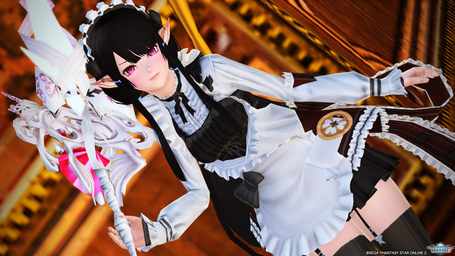 pso20200128_115942_002