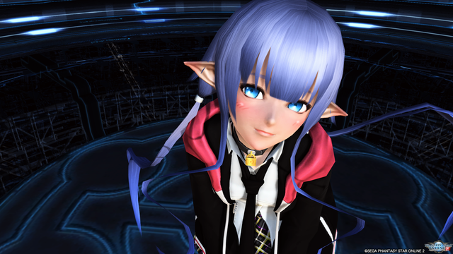 新春 丑年アクセサリーセレクト 気になった物だけ W Esuterupso2メモリアル 新春 丑年アクセサリーセレクト 気になった物だけ W Esuterupso2メモリアル