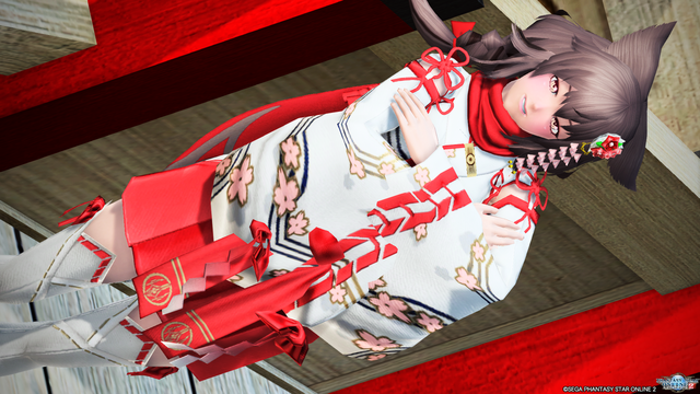 pso20200102_203314_028