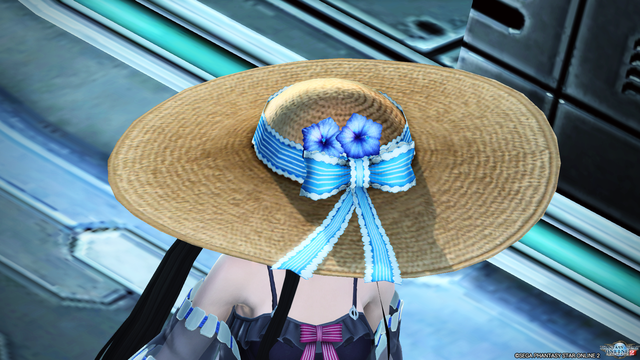 pso20190809_211913_033