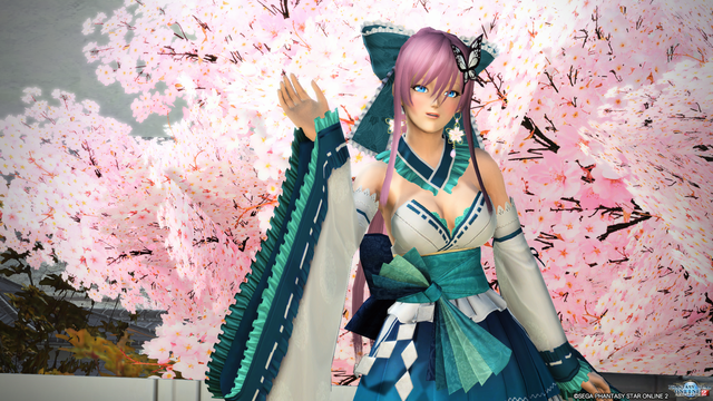 pso20171228_235040_189